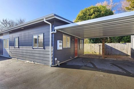 Photo of property in 15b Korimako Street, Frankton, Hamilton, 3204