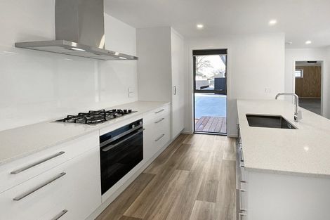 Photo of property in 27a Seddon Street, Takaro, 4412