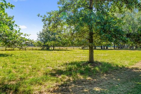 Photo of property in 170 Neeves Road, Kaiapoi, 7691