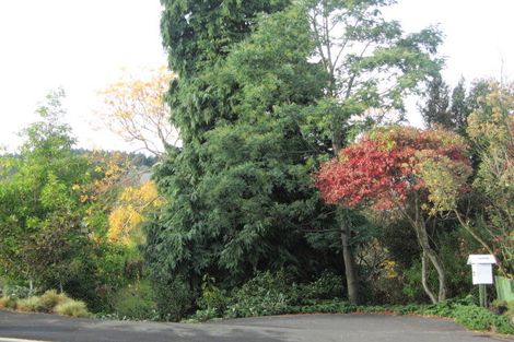 Photo of property in 72 Signal Hill Road, Opoho, Dunedin, 9010