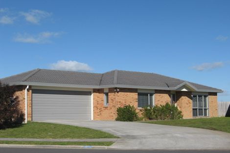 Photo of property in 17 Liddesdale Place, Papakura, 2110