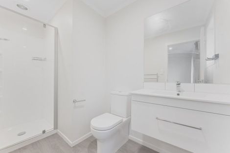 Photo of property in 68 Hinemoa Street, Levin, 5510