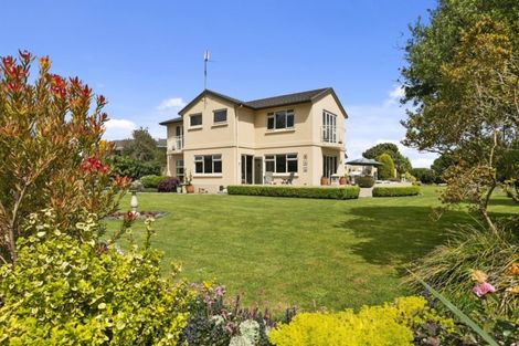 Photo of property in 41 Kelly Road, Cambridge, 3434