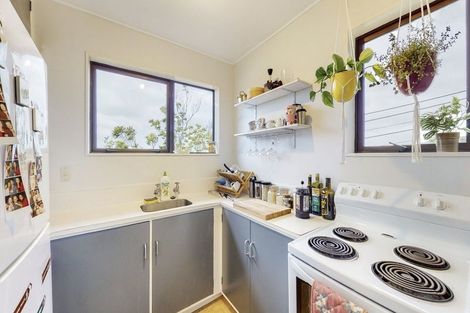 Photo of property in 124u7 Hataitai Road, Hataitai, Wellington, 6021