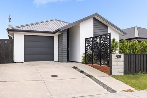Photo of property in 58 Union Drive, Papamoa, 3118