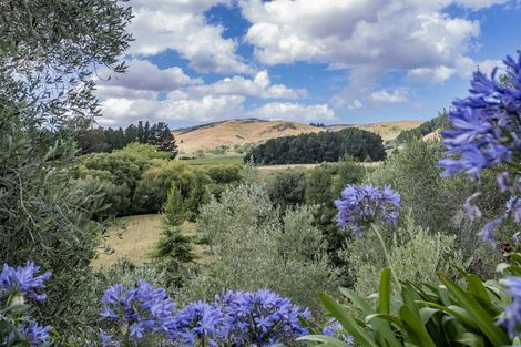 Photo of property in 41 Vineyard Lane, Waipara, 7483