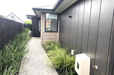 Photo of property in 14u2 Mitcham Avenue, Forest Lake, Hamilton, 3200