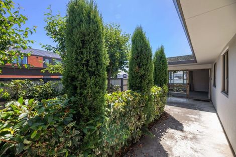 Photo of property in 29 Francis Street, Blenheim, 7201