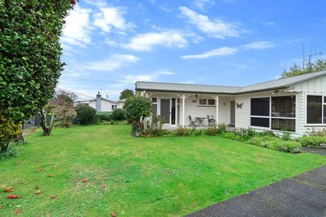 Photo of property in 11 Green Avenue, Levin, 5510