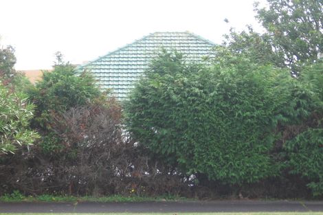 Photo of property in 1/21 Newington Road, Henderson, Auckland, 0612