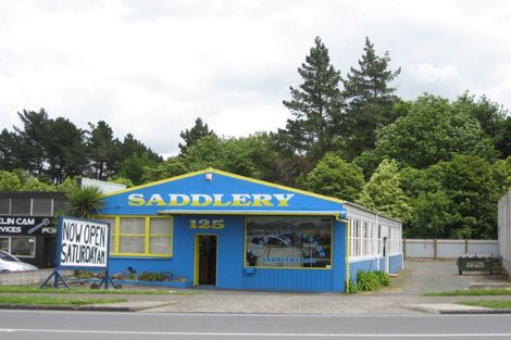 Photo of property in 162b Kitchener Road, Pukekohe, 2120