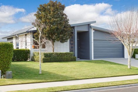 Photo of property in 17 Maple Place, Matamata, 3400