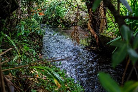Photo of property in 60 Cole Street, Masterton, 5810