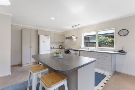 Photo of property in 38 Duke Street, Levin, 5510