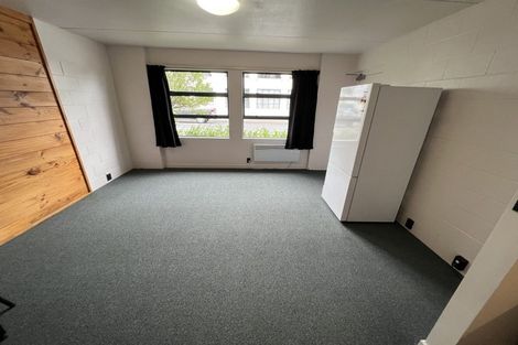 Photo of property in Te Awhina Apartments, 19/22u Sussex Street, Mount Cook, Wellington, 6021