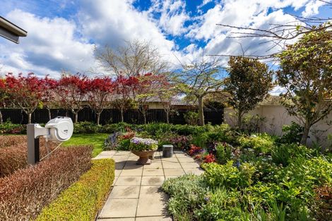 Photo of property in 33 Elmwood Avenue, Witherlea, Blenheim, 7201