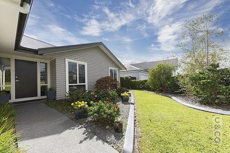 Photo of property in 65 Kaipara Portage Road, Riverhead, 0820