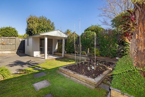 Photo of property in 85 Bethlehem Heights, Bethlehem, Tauranga, 3110