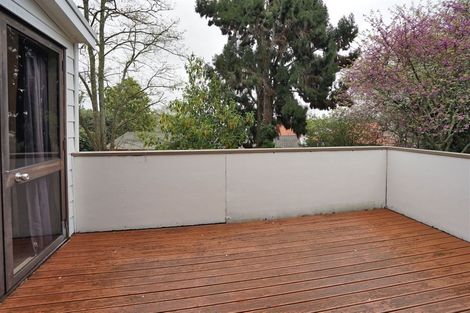 Photo of property in 15 Clarkin Road, Chartwell, Hamilton, 3214