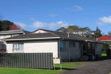 Photo of property in 24 Coburg Street, Henderson, Auckland, 0612