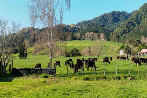 Photo of property in 37 East Avenue, Te Aroha, 3320