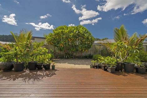 Photo of property in 10 Dotterel Place, Whitianga, 3510