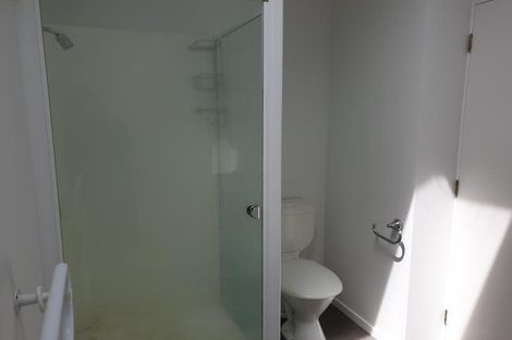 Photo of property in Colombo St Apartments, 15/10 Colombo Street, Newtown, Wellington, 6021