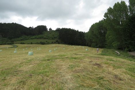 Photo of property in 387 Pokuru Road, Whakamaru, Mangakino, 3492