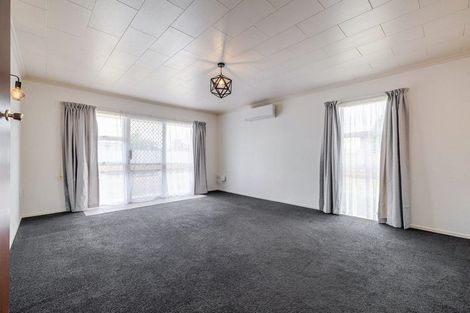 Photo of property in 46 Monrad Street, Highbury, Palmerston North, 4412