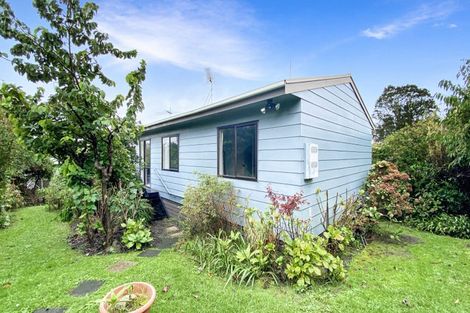 Photo of property in 16 Seabrook Avenue, New Lynn, Auckland, 0600