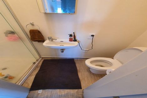 Photo of property in 41 Hankey Street, Mount Cook, Wellington, 6011