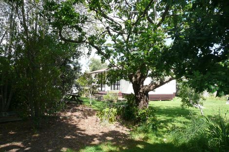 Photo of property in 48 Queen Mary Avenue, New Lynn, Auckland, 0600