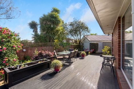 Photo of property in 259 Lyttelton Street, Spreydon, Christchurch, 8024