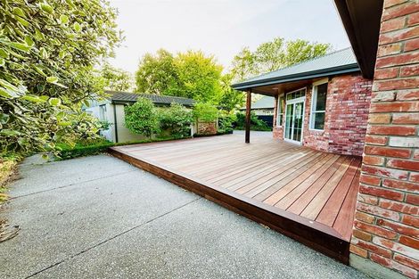 Photo of property in 15 Ngaio Street, Saint Martins, Christchurch, 8022