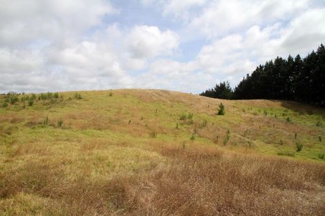 Photo of property in 540 Kimberley Road, Ngataki, Kaitaia, 0484