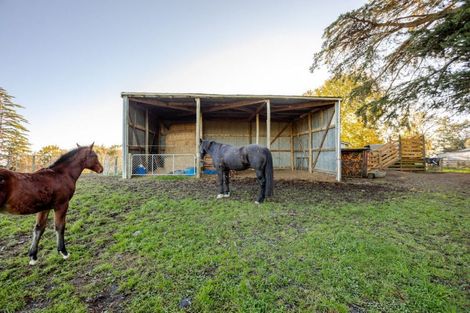Photo of property in 180 Tipapakuku Road, Dannevirke, 4930