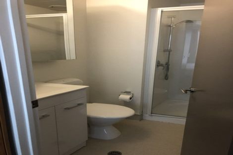 Photo of property in Dual Apartments, 108/142u Vivian Street, Te Aro, Wellington, 6011