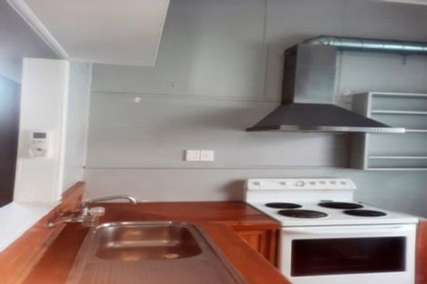 Photo of property in 117 Wallace Street, Mount Cook, Wellington, 6021