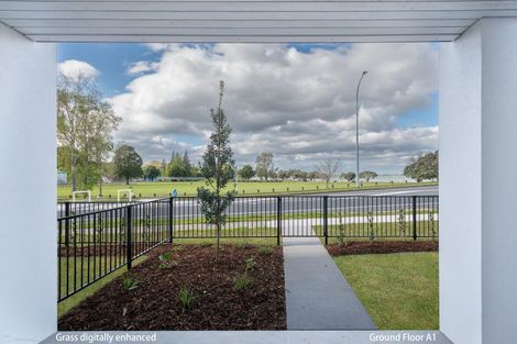 Photo of property in 1 Memorial Way, Tauranga, 3110