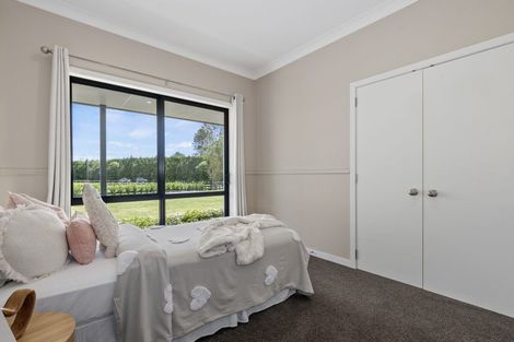 Photo of property in 154b Belk Road South, Omanawa, 3173