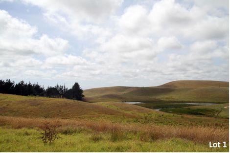 Photo of property in 540 Kimberley Road, Ngataki, Kaitaia, 0484