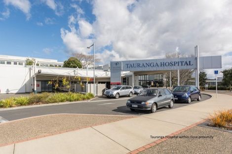 Photo of property in 3b Cook Street, Gate Pa, Tauranga, 3112