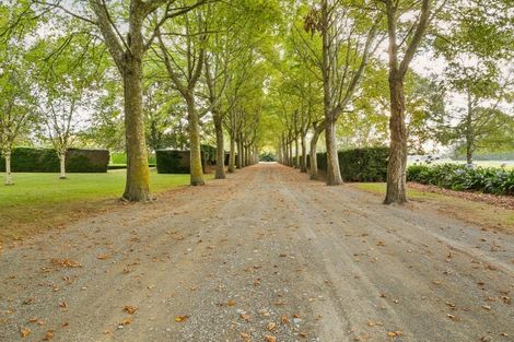 Photo of property in 371 Racecourse Road, Allenton, Ashburton, 7776