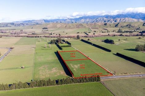 Photo of property in 1003 State Highway 2, Mikimiki, Masterton, 5881