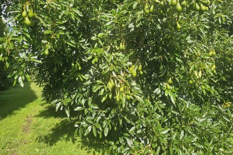Photo of property in 559b Belk Road, Omanawa, Tauranga, 3171