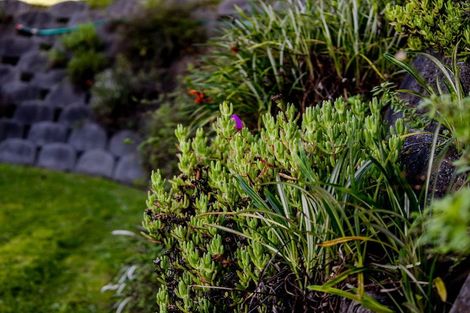 Photo of property in 140 Marsden Road, Greymouth, 7805