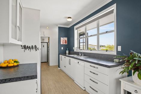 Photo of property in 225b Tukapa Street, Westown, New Plymouth, 4310