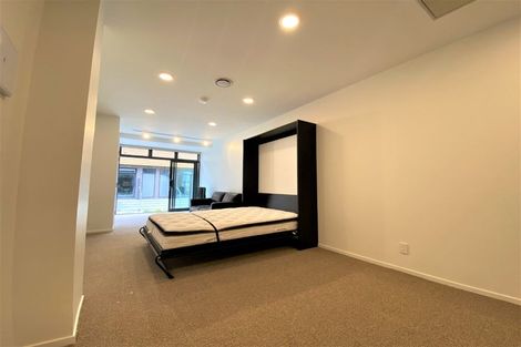Photo of property in Aniva Terrace, 21 Arney Street, Newtown, Wellington, 6021