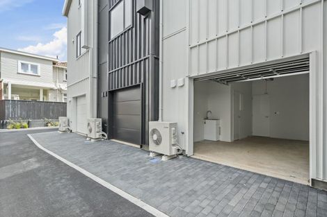 Photo of property in 25b Thompson Street, Mount Cook, Wellington, 6011