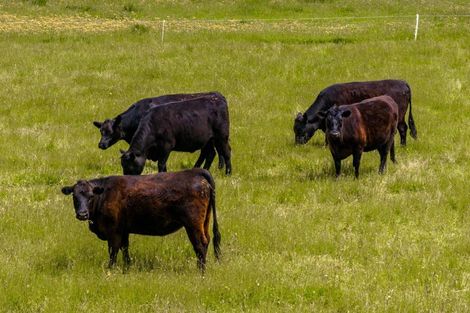 Photo of property in 2617 State Highway 63, Wairau Valley, Blenheim, 7271